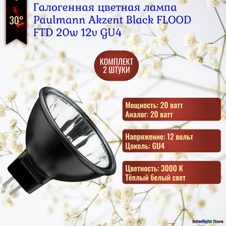 Paulmann Akzent Black Flood 20w 12v 30° GU4 FTD