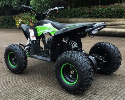 Детский квадроцикл Motax GEKKON 1300W