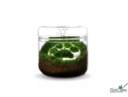 Чаша Лудзи Biolark MY-150 (150мм х 150мм)