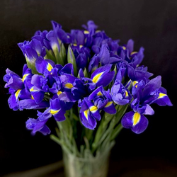 Экзотические цветы