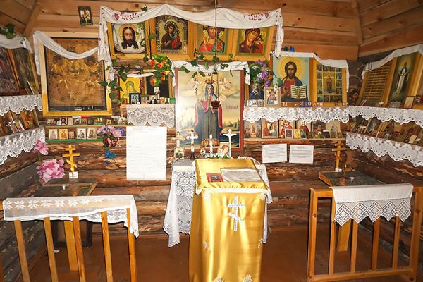 Родник, святой источник великомученицы Параскевы Пятницы у села Едрово