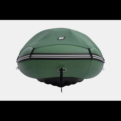 Моторная лодка GLADIATOR E380PRO зеленый