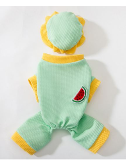 Комбинезон с панамкой Арбуз