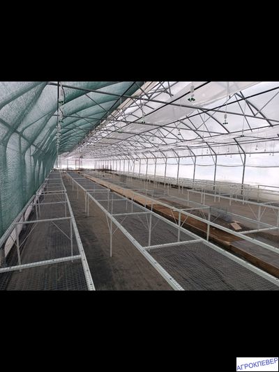 Система тумана низкого давления (480м2) 9,6 х 50м расход 5,2м3/ч (без ёмкости)