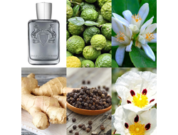 Parfums de Marly Castley