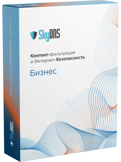 SkyDNS.Бизнес, 1 год, 30 ПК