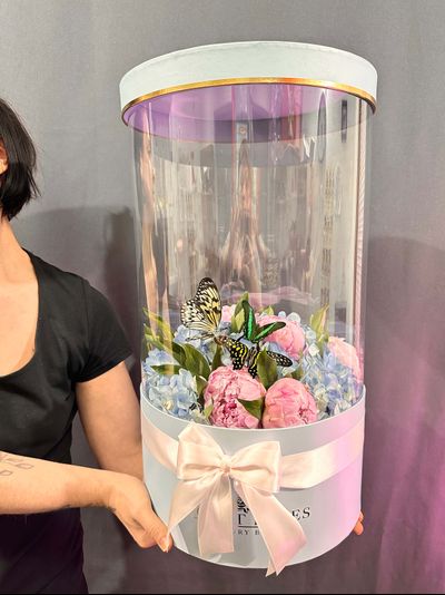 Пирны гортензия №138