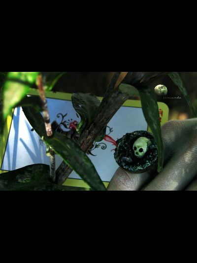 Готическое кольцо &quot;Тайна пирата&quot; с черепом и стразами Сваровски