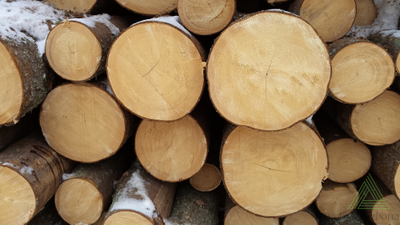 Бревна для распиловки и строгания