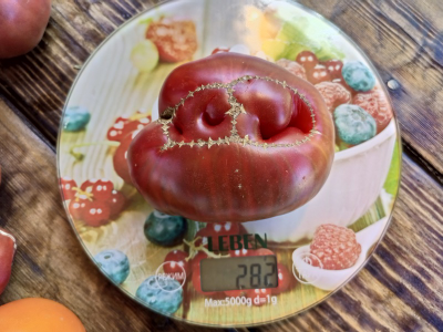 Томат Кофе с молоком