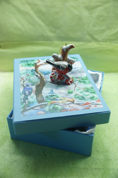 Комплект елочных игрушек "Птицы России"