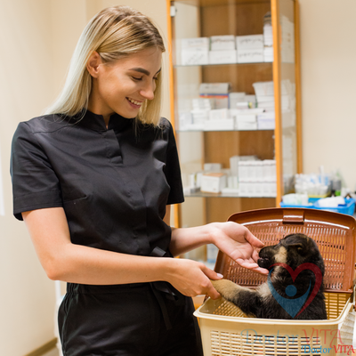 Комбинезон DOCLIKE DL613 Черный