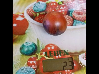 Томат Шоколадный подарок