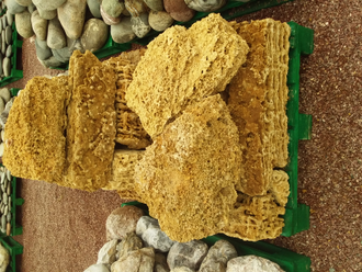 Миотис 100-2000 мм