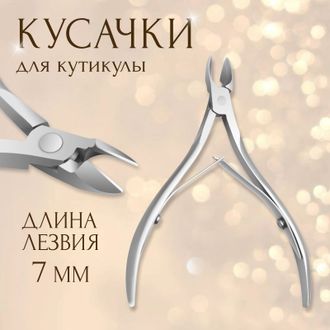 2900039411038	Кусачки маникюрные,  арт.	3941103 ,  двойная пружина, 10 см, длина лезвия - 7 мм, на блистере, цвет серебристый.