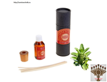 Набор диффузор "Exotic earth", сандал (Set Diffuser "Exotic earth")