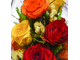 Модель № F343