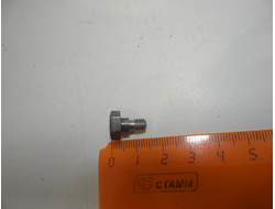 Болт крепления рычага декомпрессора Рига