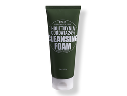 DERMA FACTORY Houttuynia Cordata 24% Cleansing Foam Пенка для умывания с экстрактом цветка хауттюйнии (120 г)