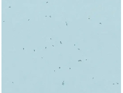 50239 Ice Sphera Energetic коллекция яркого гомогенного линолеума Forbo купить с доставкой