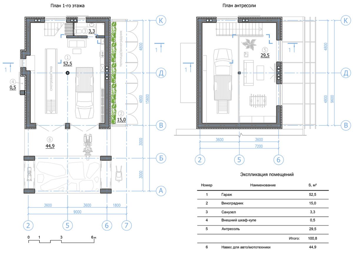 Планировка "Гараж | виноградник"
