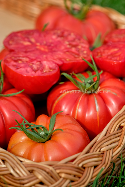 Томат Arnaldo (Арналдо), 10 шт