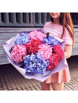 9 гортензий в матовой стильной упаковке