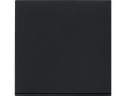 0296005 Gira, Клавиша 1-клавишного выключателя, матовый черный