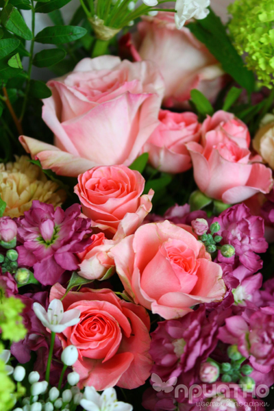 Букет цветов № 304