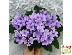 ГЕА-Весёлый Клоун (Е. Галицкая) 2024 г. трейлер