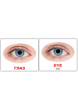 Набор карточек по лексической теме "Человек"