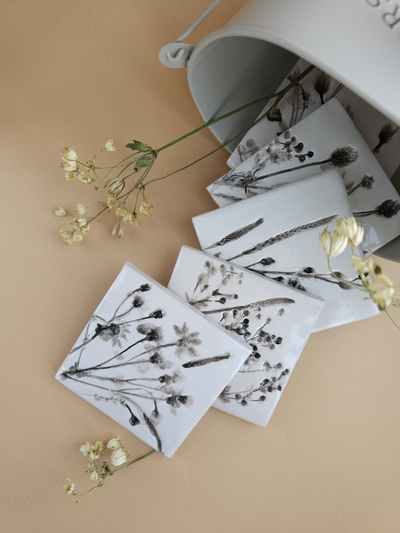 Шалфей // 10*10