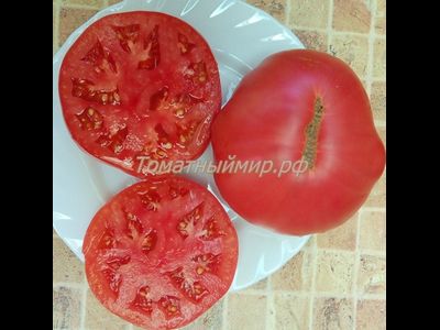 Томат Силезская малина (Schlesische Himbeere), Германия