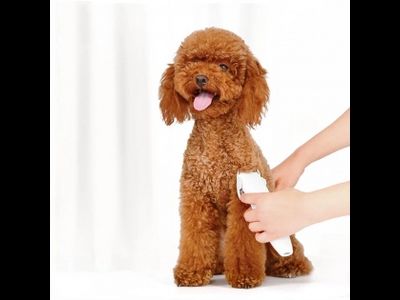 Машинка для стрижки животных Xiaomi Pawbby Pet Shaver MG-HC001A