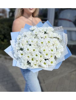 Букет белых хризантем