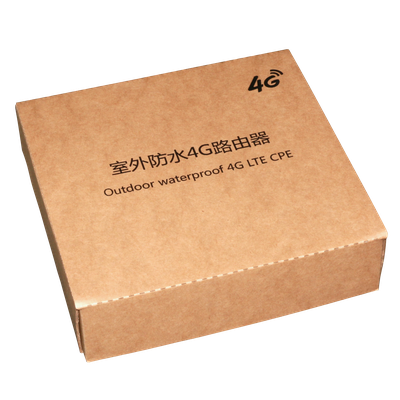 DE/VD-G2CH Уличный 4G/3G роутер для систем видеонаблюдения, WiFi (b/g/n) до 150 Мбит/с (LAN*2)