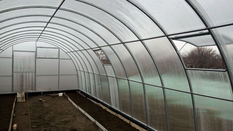 Теплицы В Барнауле Купить Бу