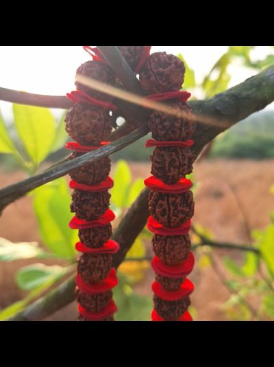 Четки Premium quality из натуральной крупной Рудракши 54 бусины красные