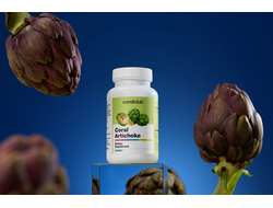 Корал Артишок   CoralClub