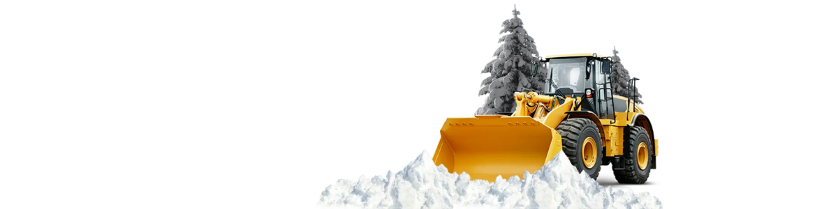 Цены на вывоз снега