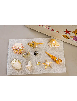 Коллекция "Морское дно"