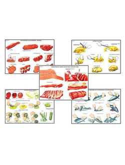 Плакаты ПРОФТЕХ "Первичная обраб. продуктов и приготовление полуфабрикатов" (15 пл, винил, 70х100)