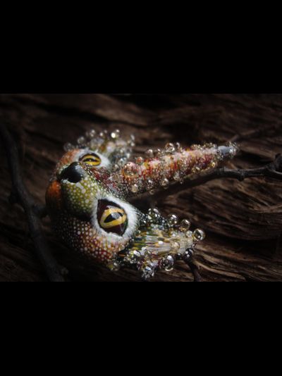 &quot;Рогтябрь, осенний лесной кот&quot;, волшебная коллекционная брошь в стиле фэнтези