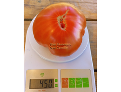 Томат Дон Камилло (Don Camillo)