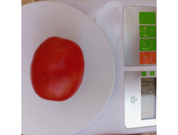 Томат Валентина