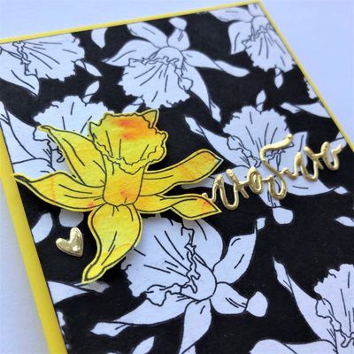 ФП штамп "Нарциссы"