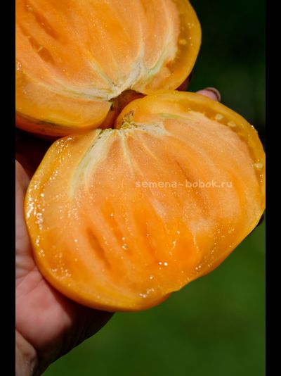 Томат Дынный Ликёр, 10 шт