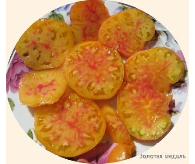 Томат Золотая медаль (Gold Medal)