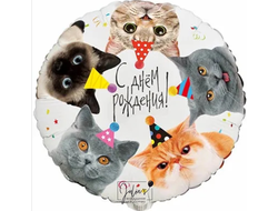 Круг Котики фотографичные