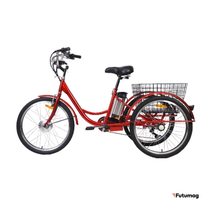 Электротрицикл Elbike FERMER VIP
